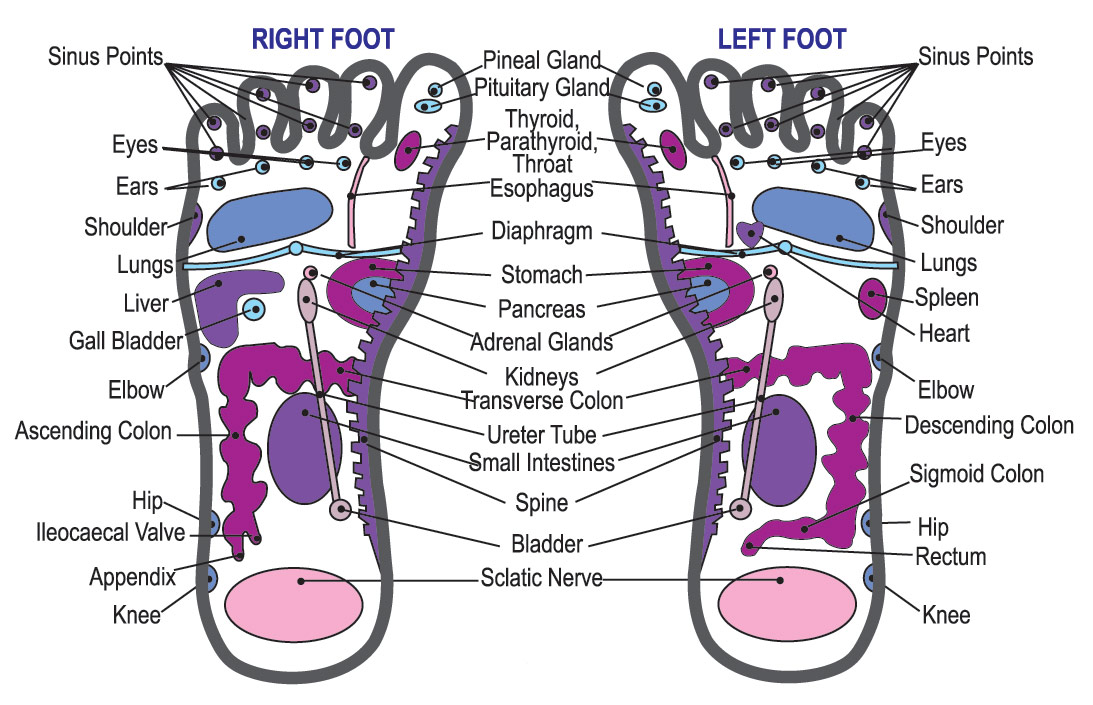Foot Diagram